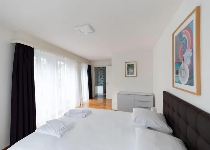 And Big 1 Bedroom Flat Center/near Appartement *