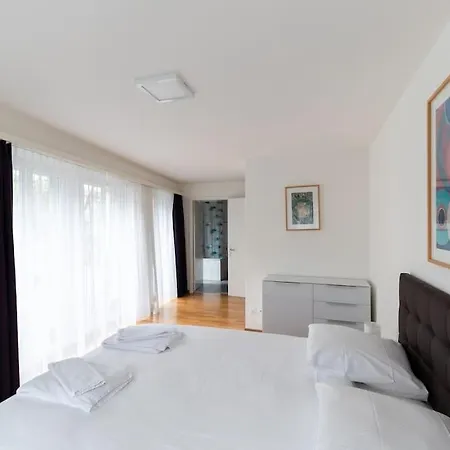 And Big 1 Bedroom Flat Center/near Apartment *